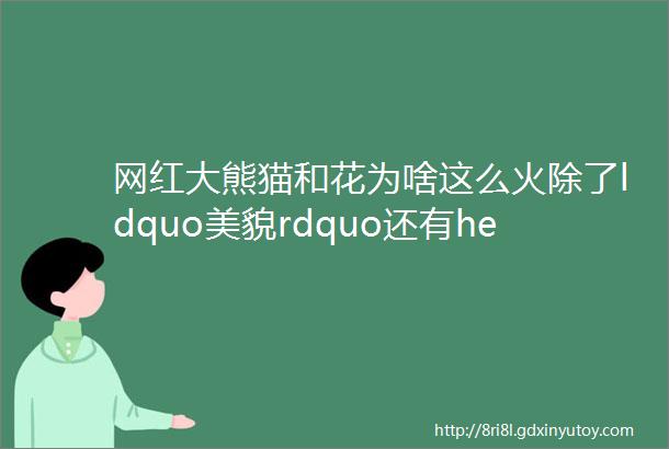 网红大熊猫和花为啥这么火除了ldquo美貌rdquo还有helliphellip