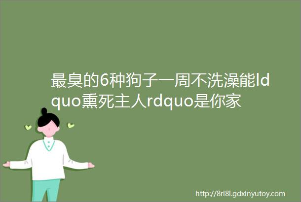 最臭的6种狗子一周不洗澡能ldquo熏死主人rdquo是你家的狗子吗